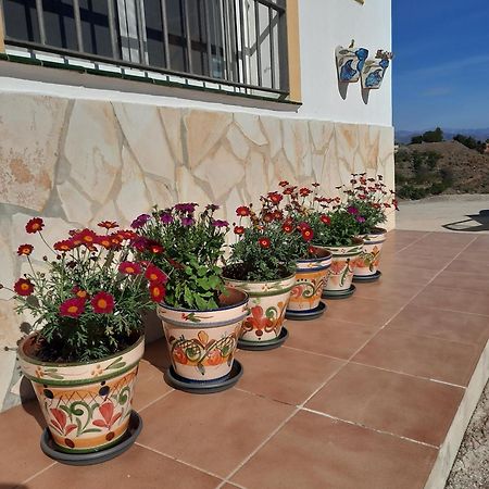 Casa Montana Velez-Malaga B&B Exterior photo